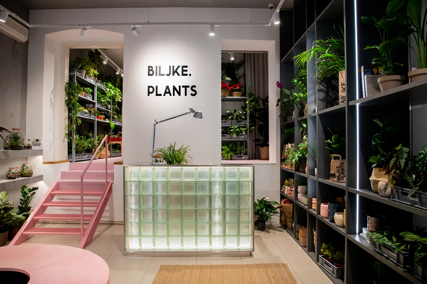 Pink in the Wild — faza E: uređena trgovina Biljke.Plants s pultom od staklene opeke, ružičastim stubama i policama punim biljaka.