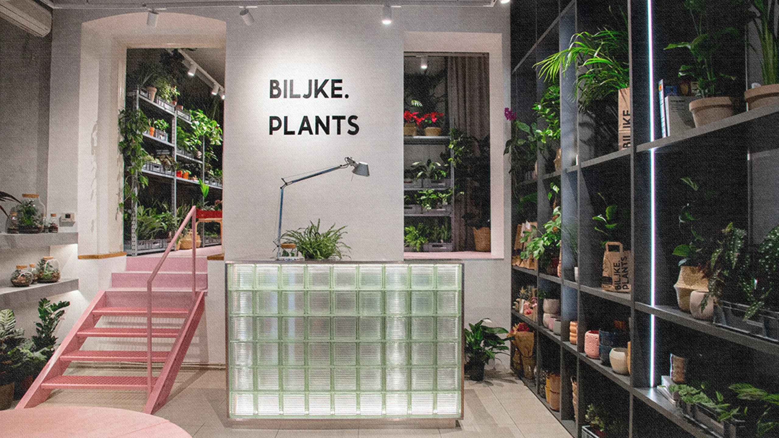 Interijer trgovine Biljke.Plants u Zagrebu s osvijetljenim pultom od staklenih blokova i ružičastim stubištem